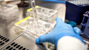 lab-specialist-working-with-insemination