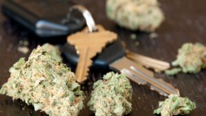 marijuana-buds-next-to-car-keys