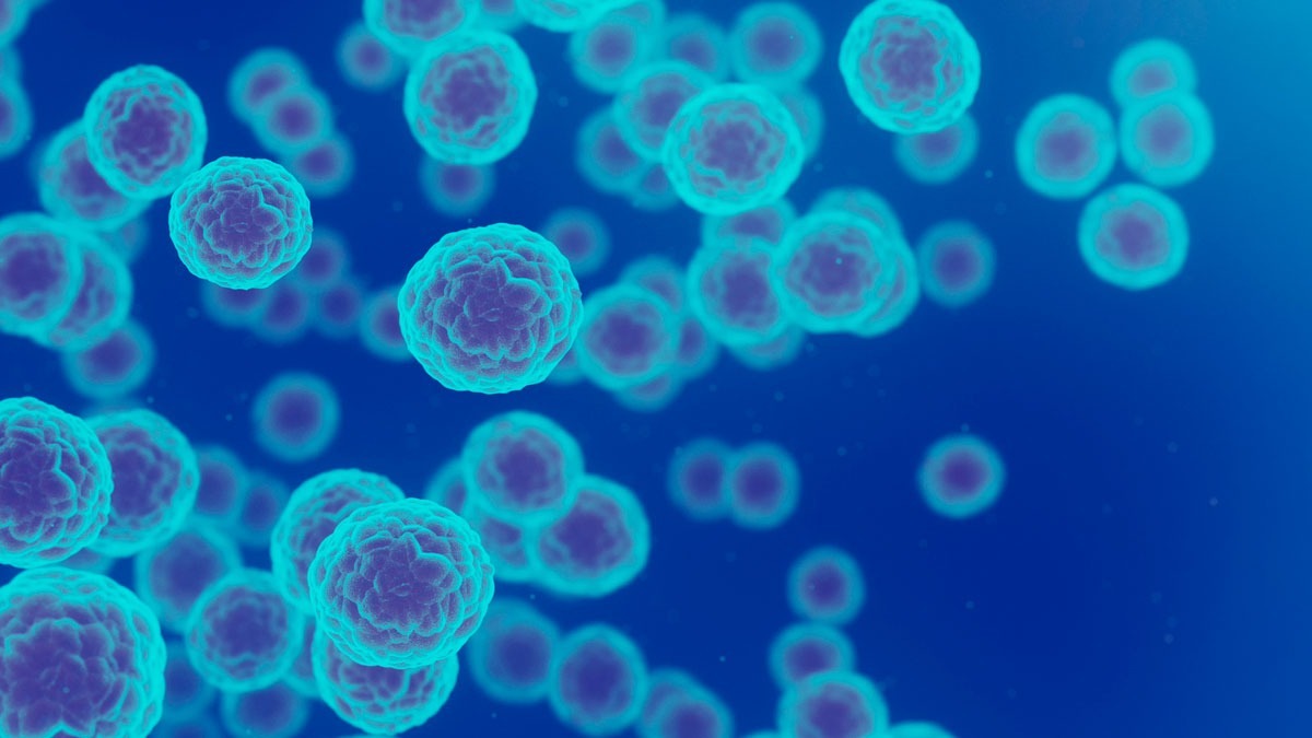 microscopic-view-of-T-cells