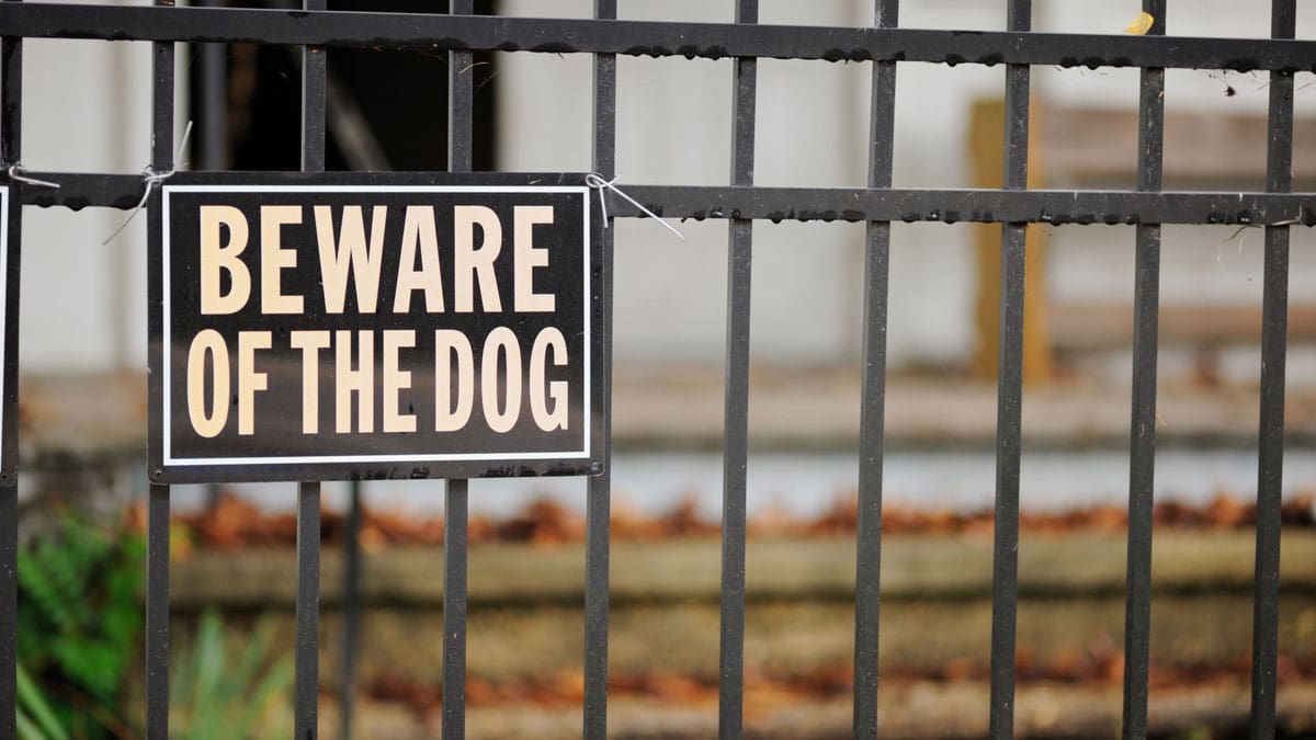 Beware-of-Dog-sign-on-metal-gate