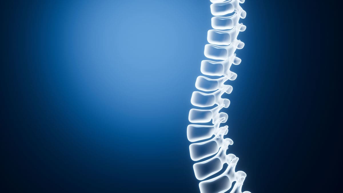 illustration-of-a-spine-against-a-dark-blue-background