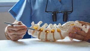 provider-pointing-to-a-model-of-the-lumbar-spine