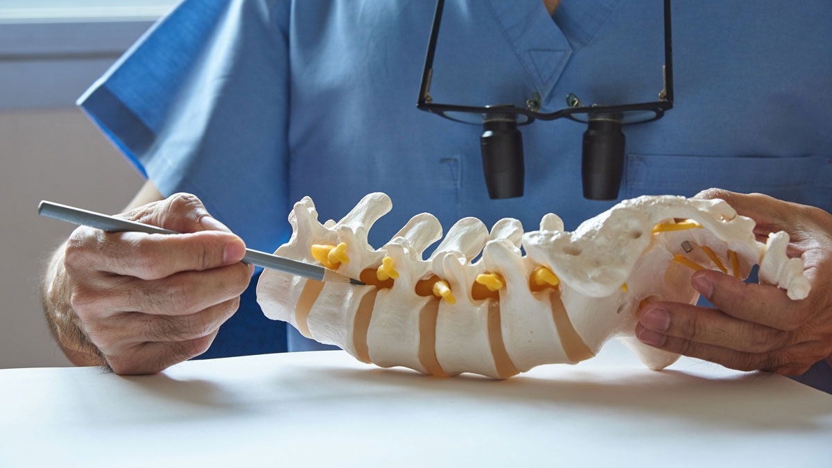 provider-pointing-to-a-model-of-the-lumbar-spine